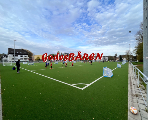 GodesBÄREN_1